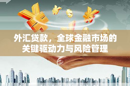 开平外汇贷款，全球金融市场的关键驱动力与风险管理