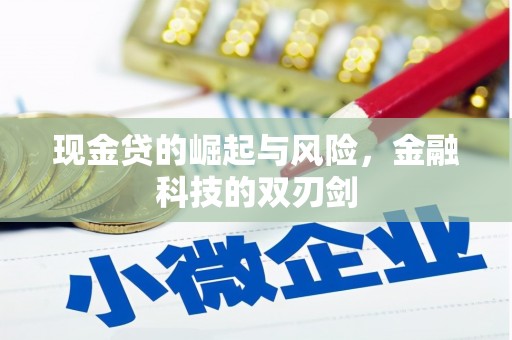 开平现金贷的崛起与风险，金融科技的双刃剑