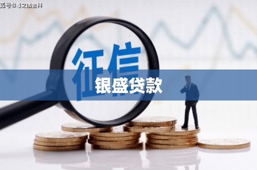 开平银盛贷款