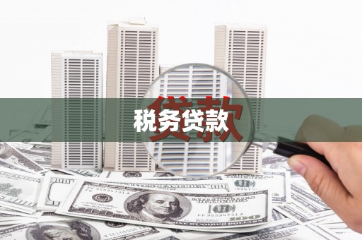 开平税务贷款