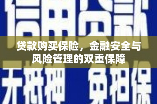 开平贷款购买保险，金融安全与风险管理的双重保障