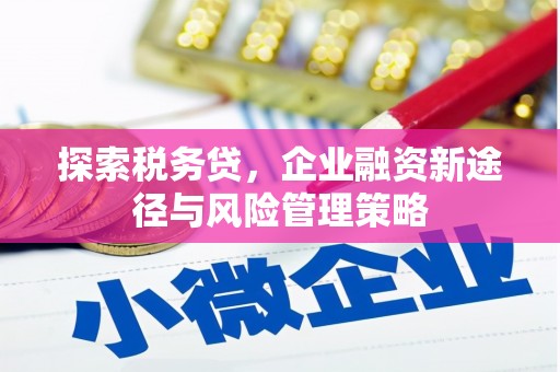 开平探索税务贷，企业融资新途径与风险管理策略