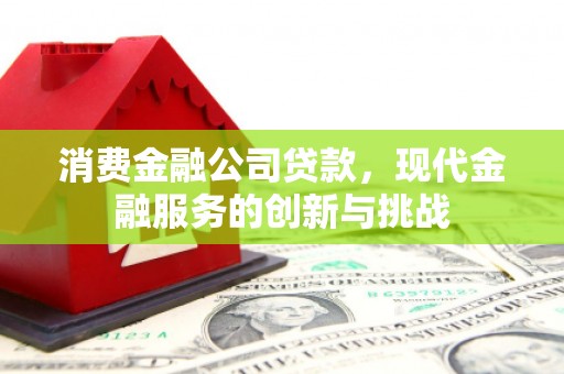 开平消费金融公司贷款，现代金融服务的创新与挑战