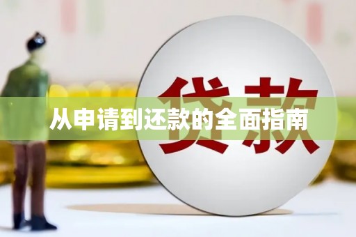 开平从申请到还款的全面指南