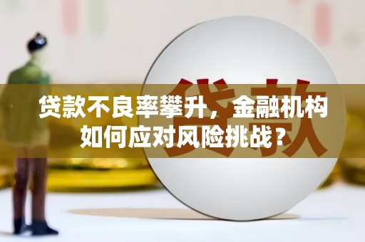 开平贷款不良率攀升，金融机构如何应对风险挑战？