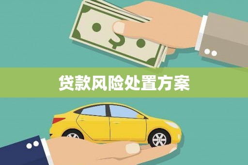 开平贷款风险处置方案
