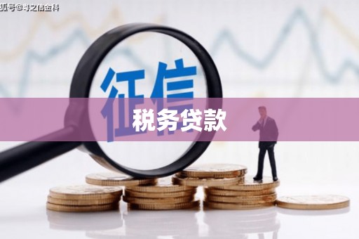 开平税务贷款