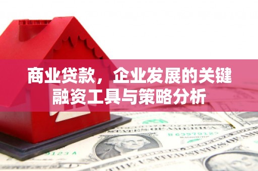 开平商业贷款，企业发展的关键融资工具与策略分析