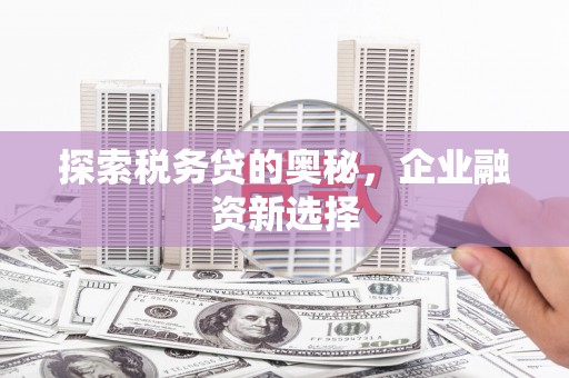 开平探索税务贷的奥秘，企业融资新选择