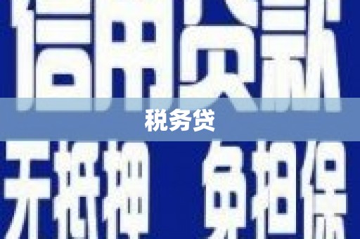 开平税务贷