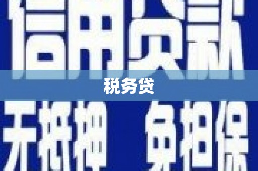开平税务贷
