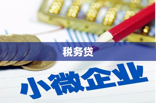 开平税务贷