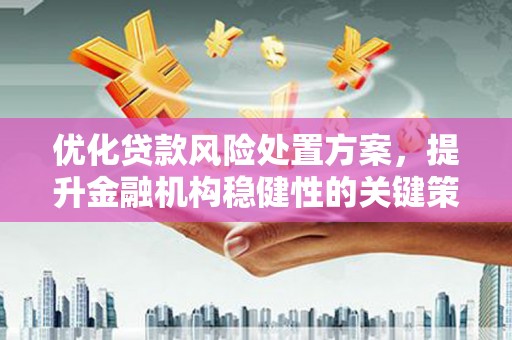 开平优化贷款风险处置方案，提升金融机构稳健性的关键策略