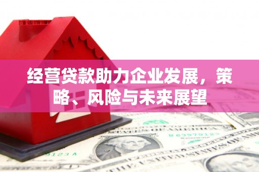 开平经营贷款助力企业发展，策略、风险与未来展望