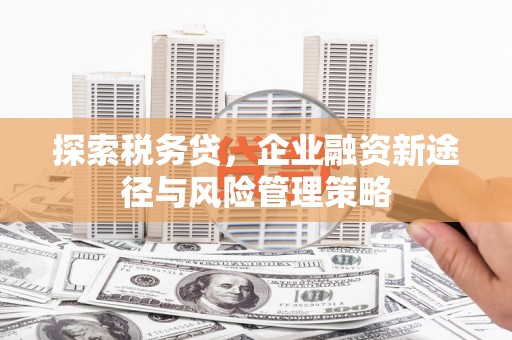 开平探索税务贷，企业融资新途径与风险管理策略