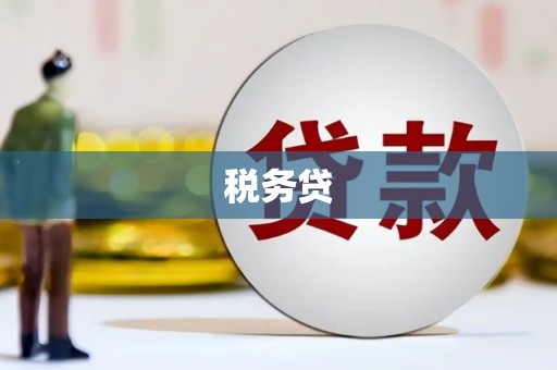 开平税务贷