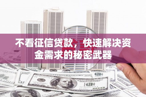 开平不看征信贷款，快速解决资金需求的秘密武器