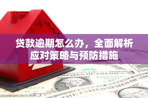 开平贷款逾期怎么办，全面解析应对策略与预防措施