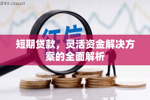 开平短期贷款，灵活资金解决方案的全面解析