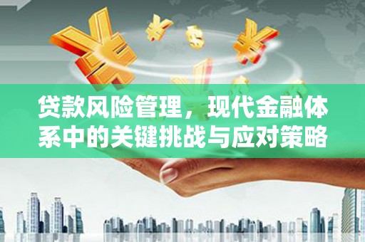 开平贷款风险管理，现代金融体系中的关键挑战与应对策略