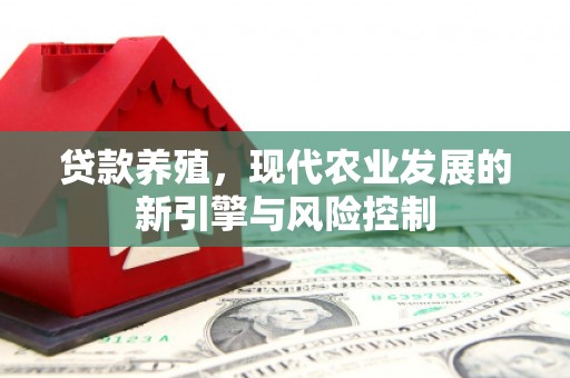 开平贷款养殖，现代农业发展的新引擎与风险控制