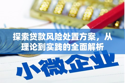 开平探索贷款风险处置方案，从理论到实践的全面解析