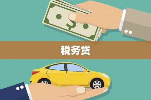 开平税务贷