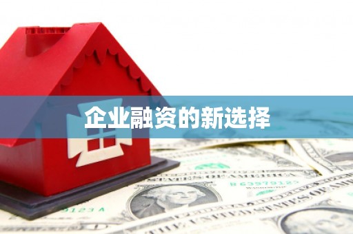 开平企业融资的新选择