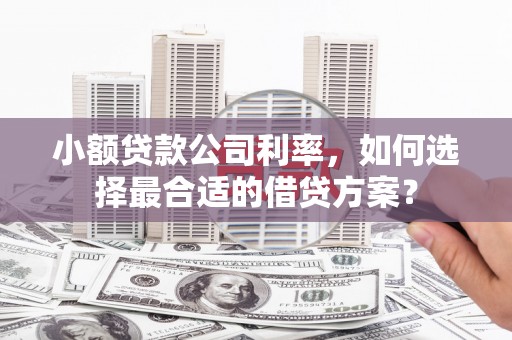 开平小额贷款公司利率，如何选择最合适的借贷方案？