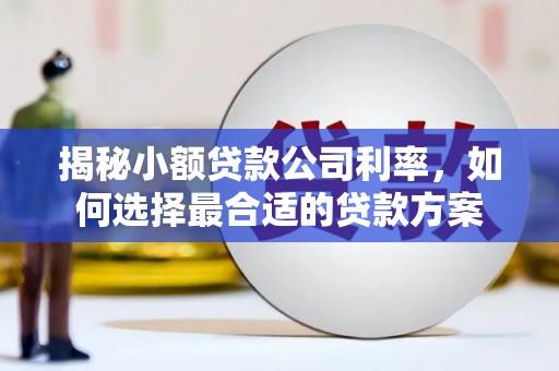 开平揭秘小额贷款公司利率，如何选择最合适的贷款方案