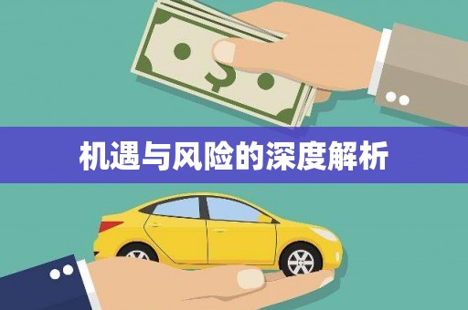 开平机遇与风险的深度解析