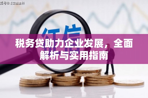 开平税务贷助力企业发展，全面解析与实用指南