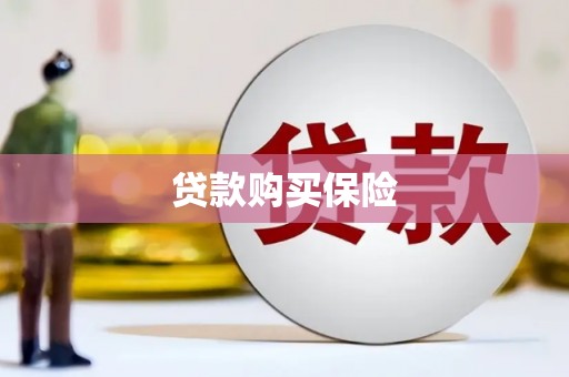 开平贷款购买保险
