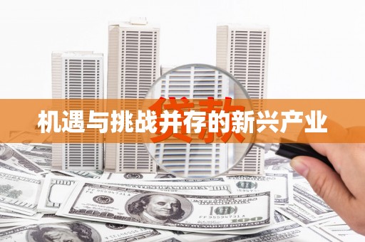 开平机遇与挑战并存的新兴产业