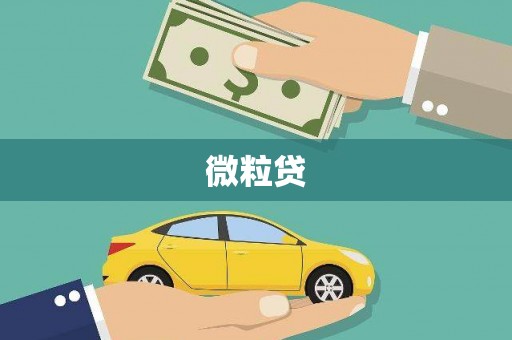 开平微粒贷