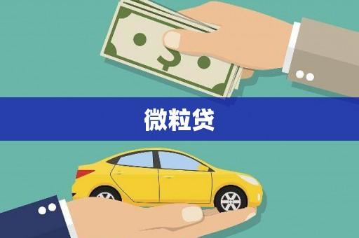 开平微粒贷