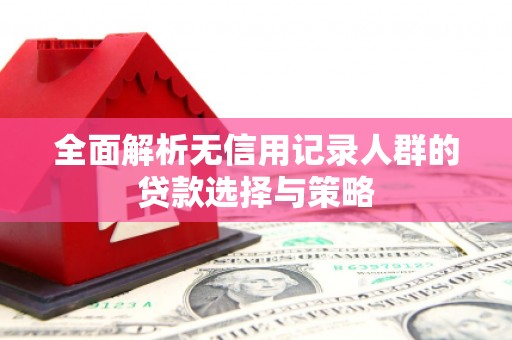 开平全面解析无信用记录人群的贷款选择与策略