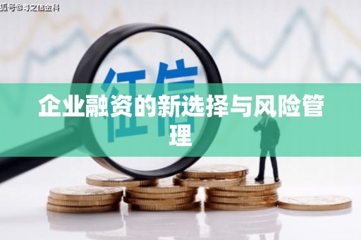 开平企业融资的新选择与风险管理