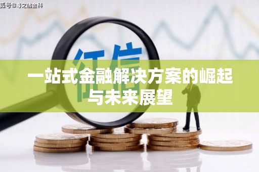开平一站式金融解决方案的崛起与未来展望