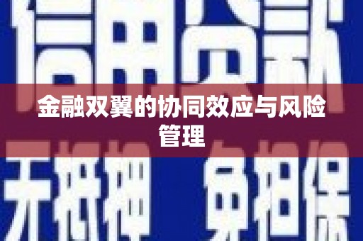 开平金融双翼的协同效应与风险管理