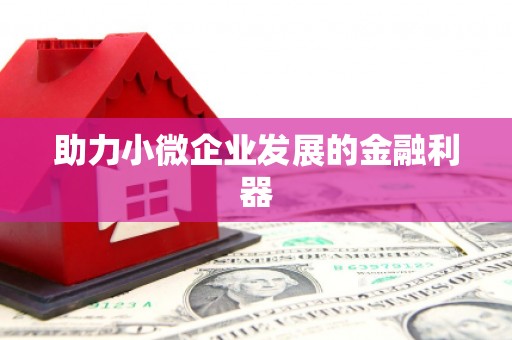开平助力小微企业发展的金融利器