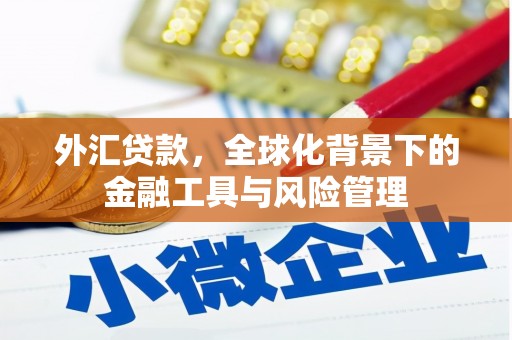 开平外汇贷款，全球化背景下的金融工具与风险管理