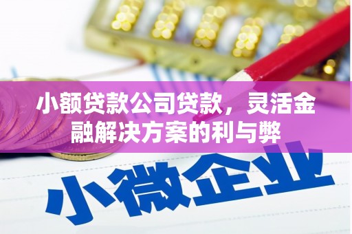 开平小额贷款公司贷款，灵活金融解决方案的利与弊